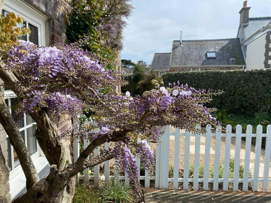 Country Cottage With Private Garden Close To Beach St Mary Exteriér fotografie